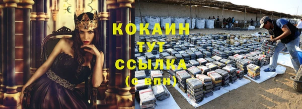 ешки Медногорск
