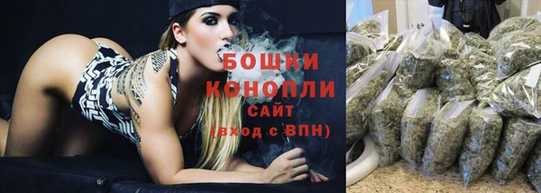 ешки Медногорск