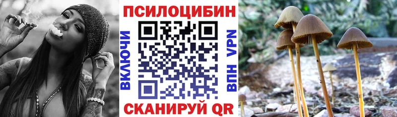 Псилоцибиновые грибы Psilocybe  Купить закладки  Фокино 